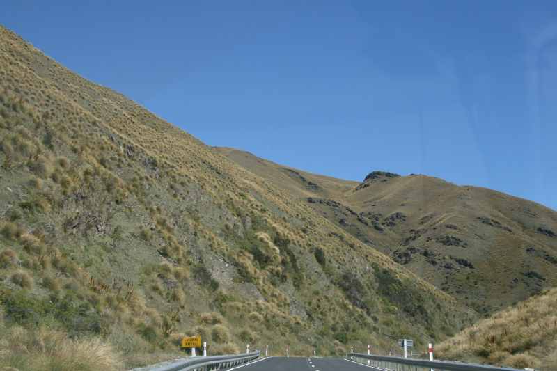 Nieuw-Zeeland 2011 - 1614